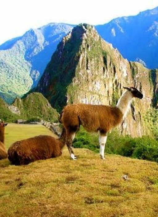 1020710708792873ae8e48e013a48940