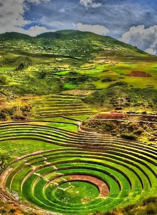 33b56e7e3fd93c146981dc0293dd8195