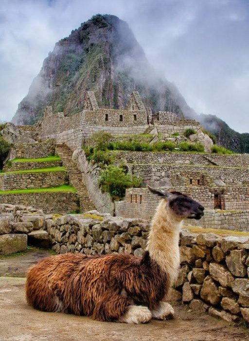 33b81e003cab77e2a04e0b10cff226d6