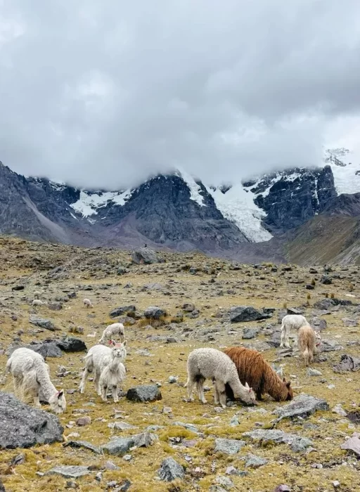 Magical Peru 🇵🇪