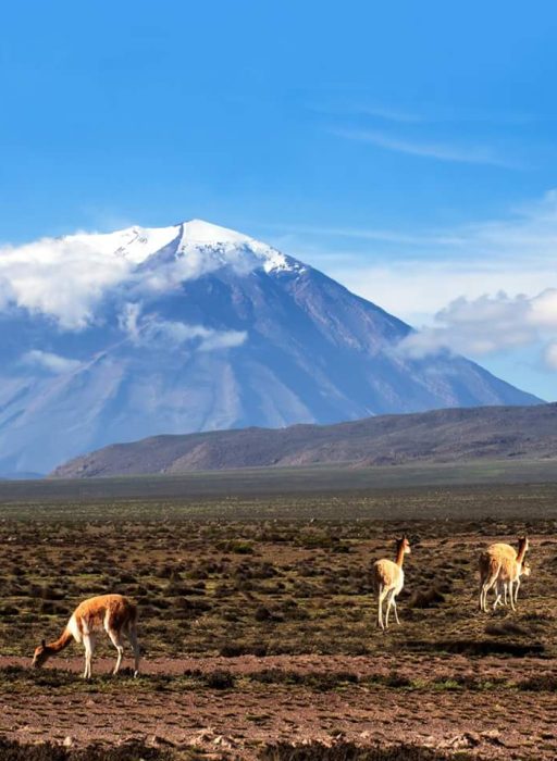 WhatsApp Image 2018-10-22 at 12.36.44