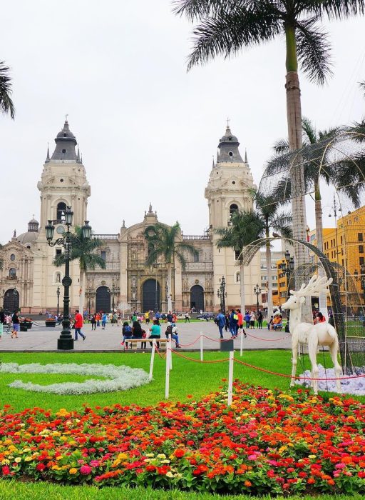 WhatsApp Image 2018-11-16 at 17.47.18 (1)