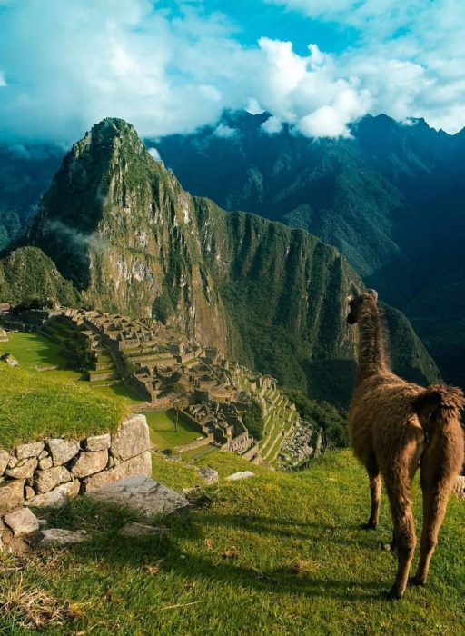 WhatsApp Image 2018-11-19 at 22.03.27