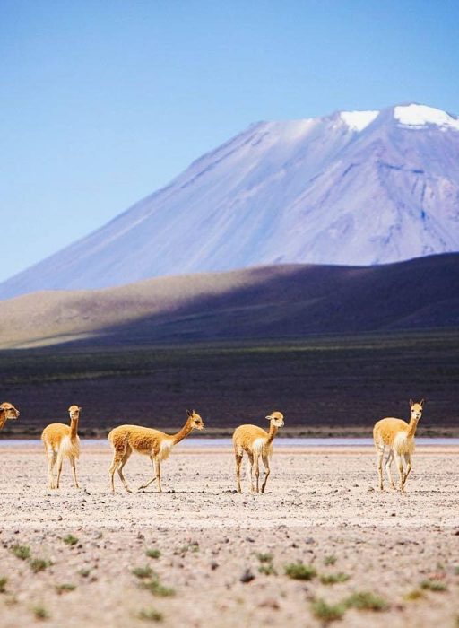 WhatsApp Image 2018-11-20 at 22.12.33