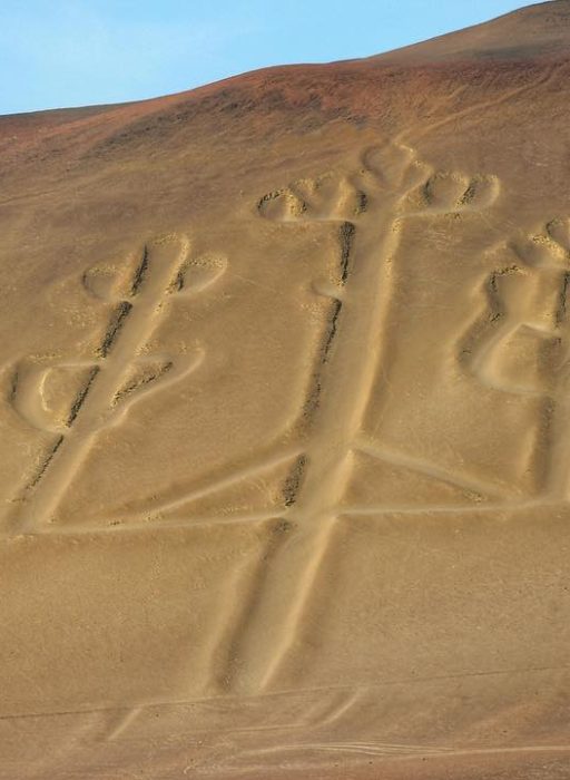 WhatsApp Image 2018-11-20 at 22.12.47 (1)