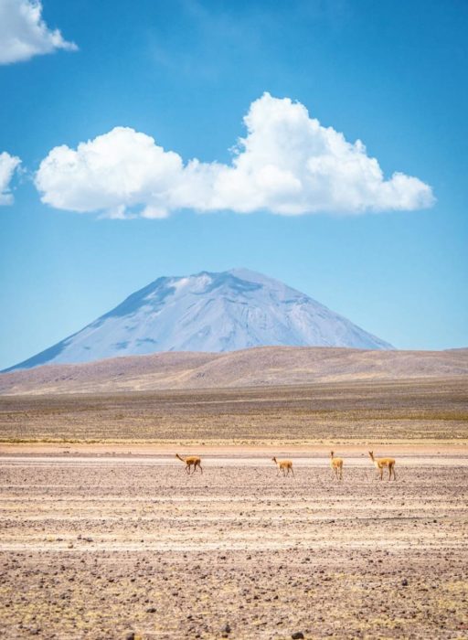 WhatsApp Image 2018-12-10 at 21.11.12 (2)