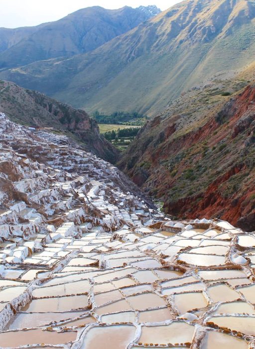 WhatsApp Image 2019-02-16 at 16.18.05 (2)