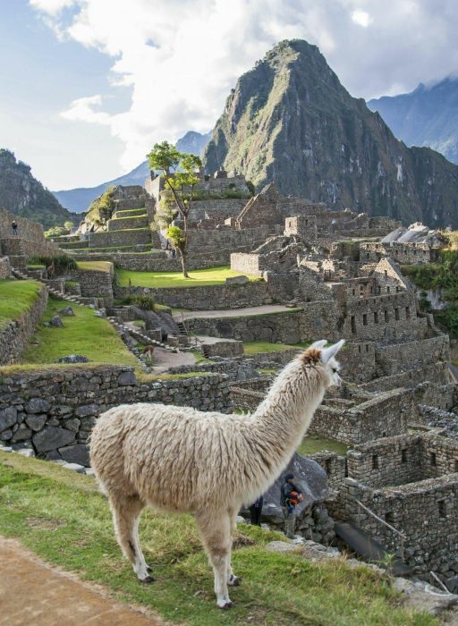 bcf9a17a76b0f197f0345d15244bcedb