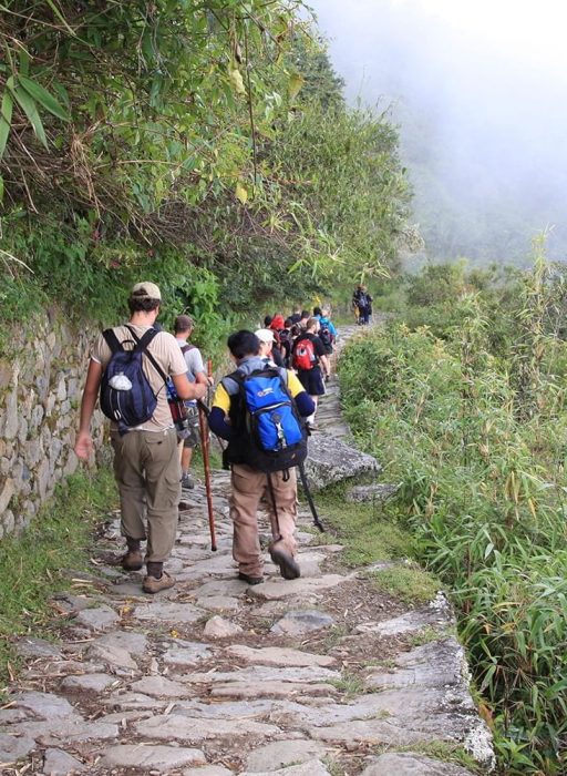 caminodeinca_standard