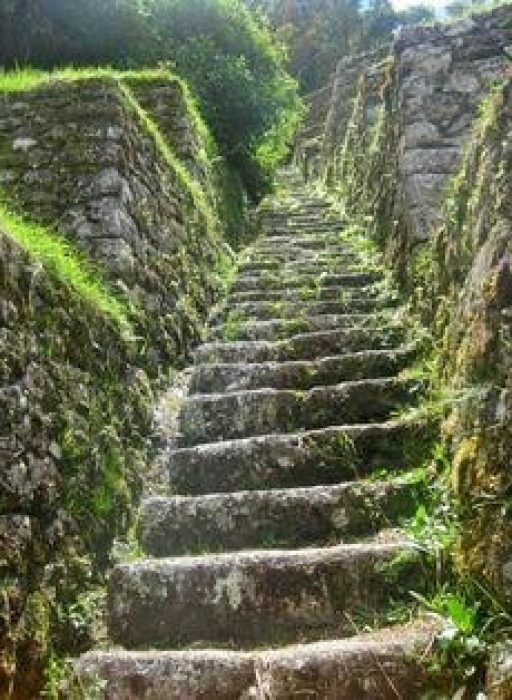 ed78d1ec96c84284fb47c4cd3f4bb4c2