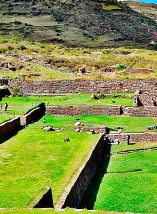 optimized_tipon-cusco