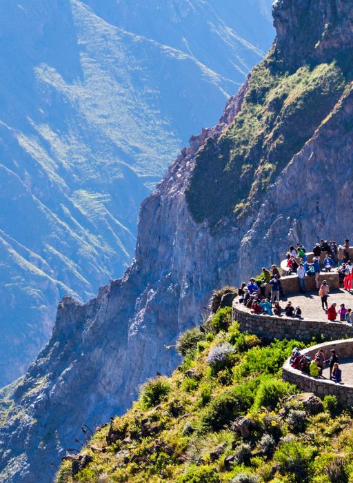 shutterstock_439732774